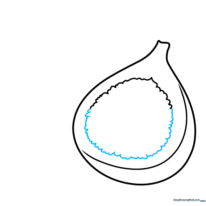 Adding a small circular core to the center of the cut fig.