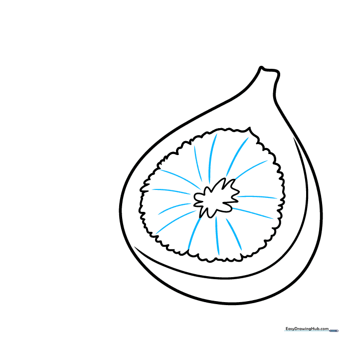 Adding radiating curved lines to the center of the fig.