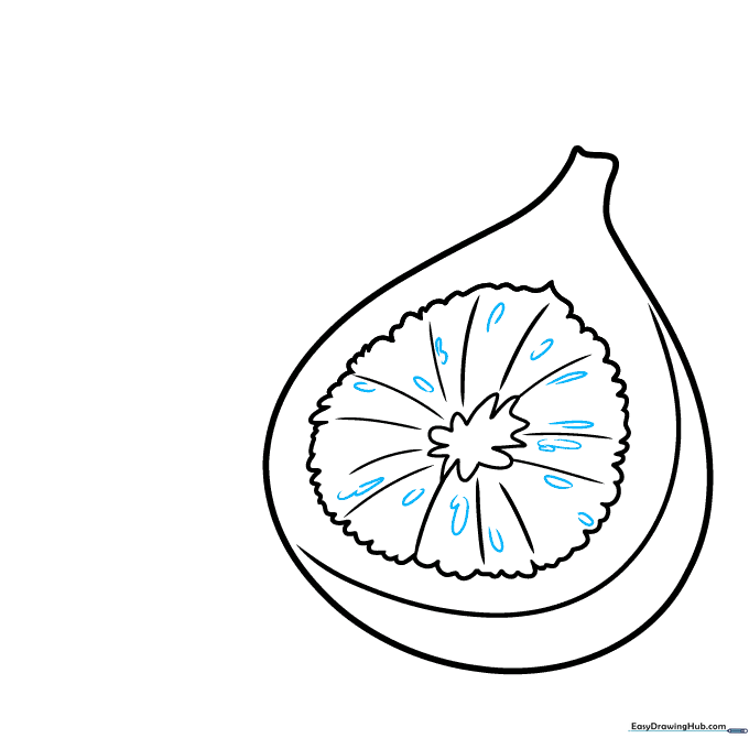 Adding small oval seed details to the inner flesh of the fig.