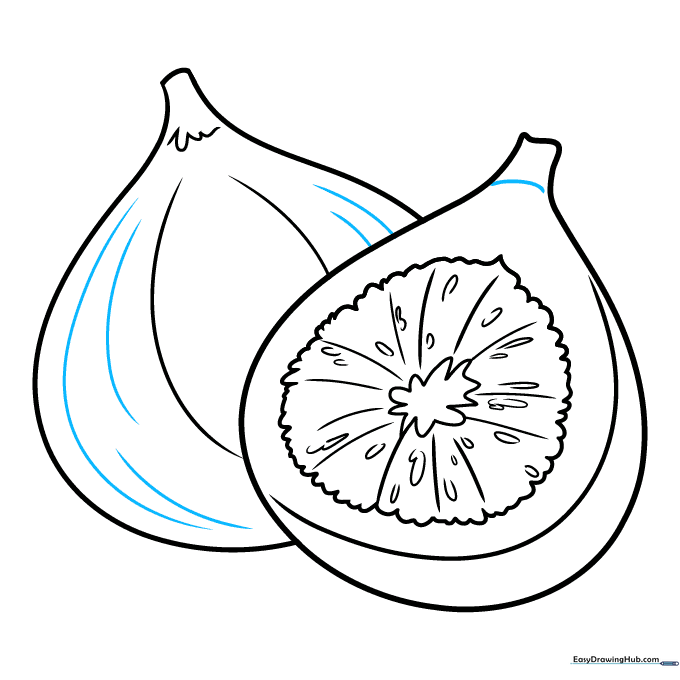 Finalizing the outline of the two figs with clean, confident lines.