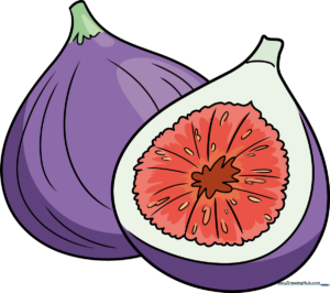 Colorful illustration of a whole and a sliced fig.