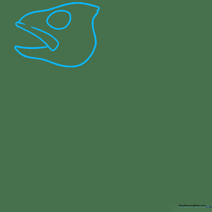 Pencil sketch of a fish skull outline showing an egg-shaped head and triangular snout.