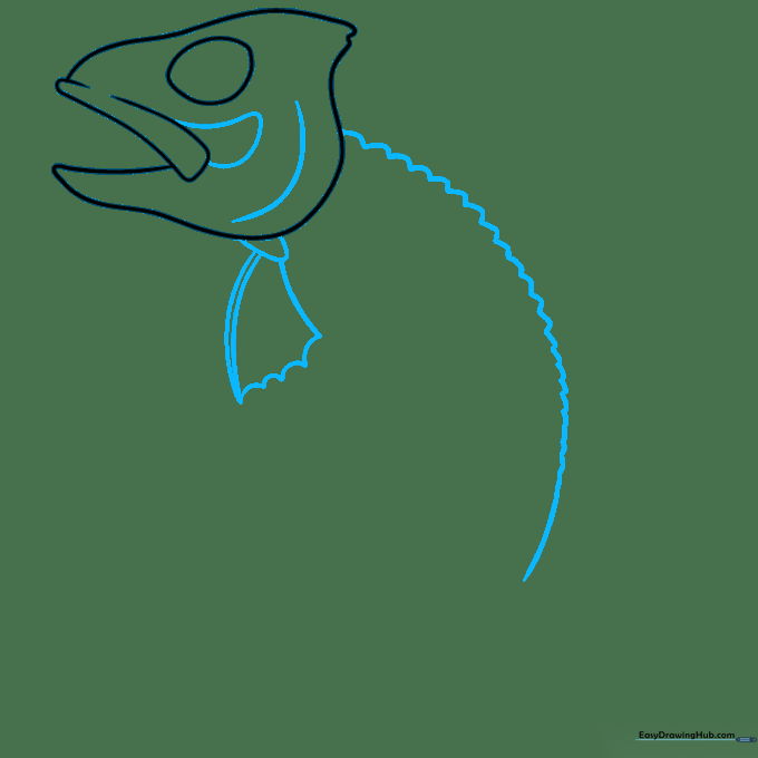 Drawing the fish jaw and the initial curved line for the spine.