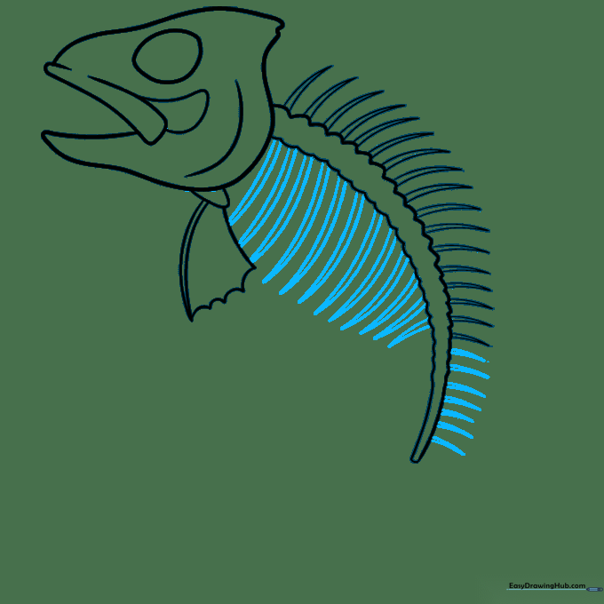 Tapering the rib triangles to create a realistic fish spine structure.