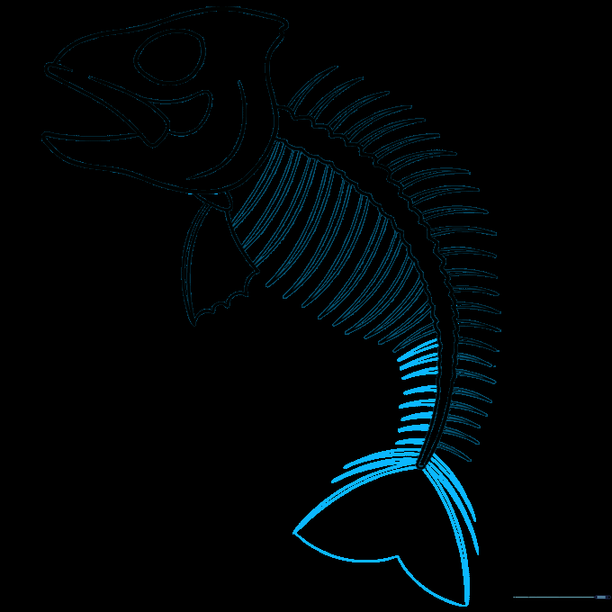 Sketching the tail fin with a heart-shaped outline.