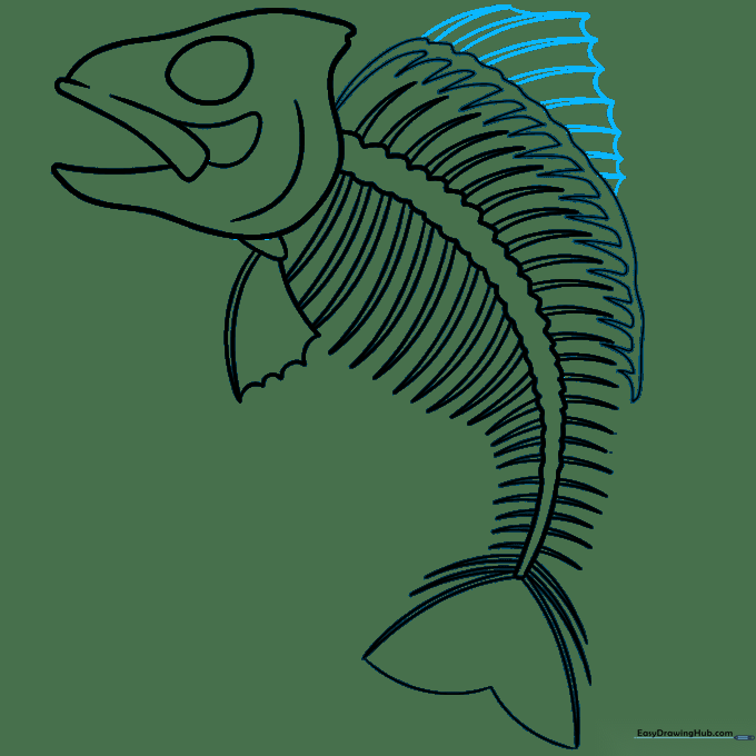 Adding webbed details between the fin rays.