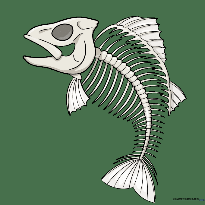 Finished colored fish skeleton drawing with shading and highlights.