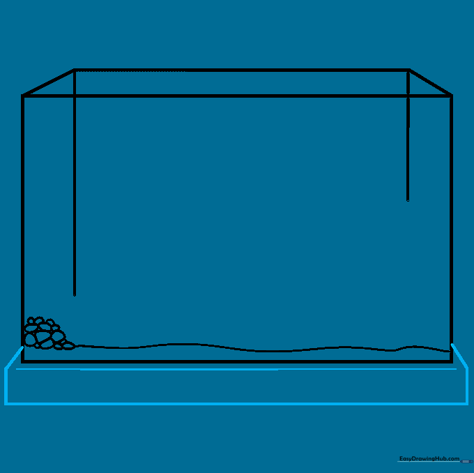 The aquarium frame is completed with defined base lines and a clear floor boundary.