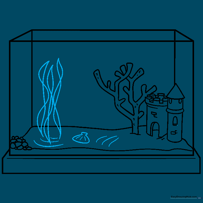 Seaweed leaves and a small seashell added to the bottom of the aquarium.