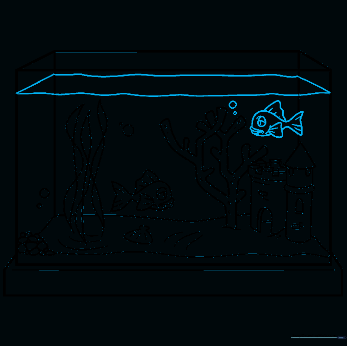 A second fish added to the tank with a clear waterline drawn near the top.
