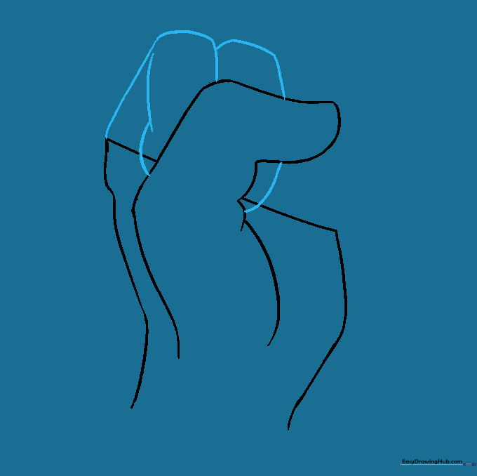 Outline sketch showing the placement of folded fingers.