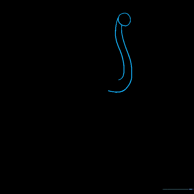 Pencil sketch showing a small circle for a flamingo head with two curved lines forming the neck.