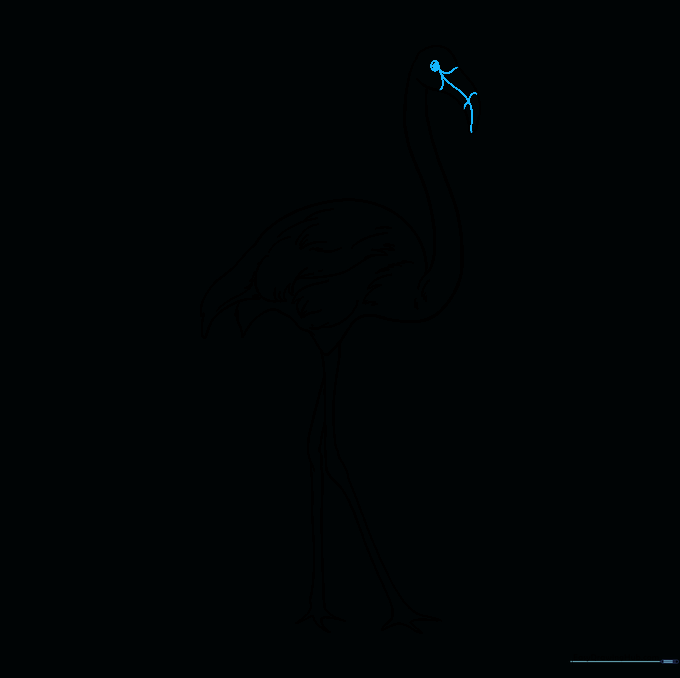 Adding the eye and beak details to complete the flamingo's face.