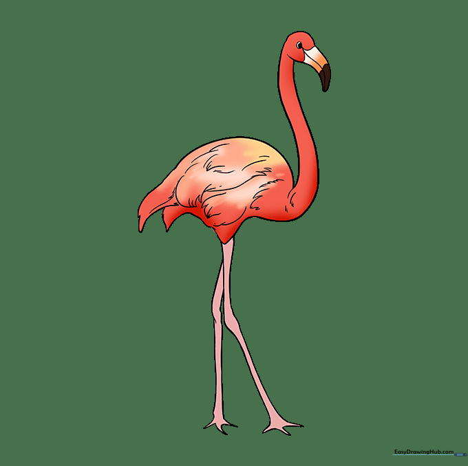 A fully colored, vibrant pink flamingo standing on one leg.