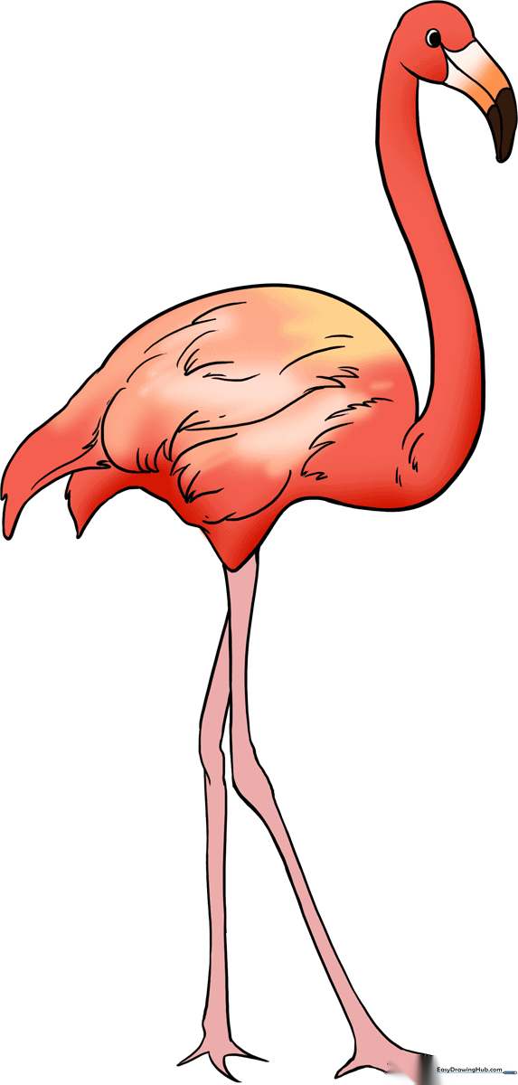 A colorful, finished drawing of a flamingo, showcasing the final result of the tutorial.