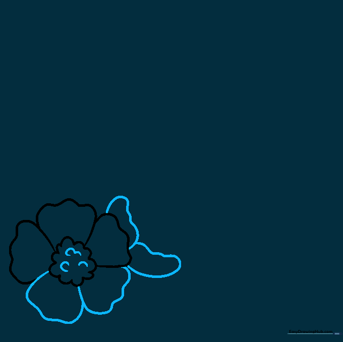 Drawing showing a completed five-petal flower and the start of a second flower outline.