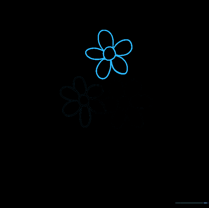 Three flower heads drawn together to begin forming a cluster.