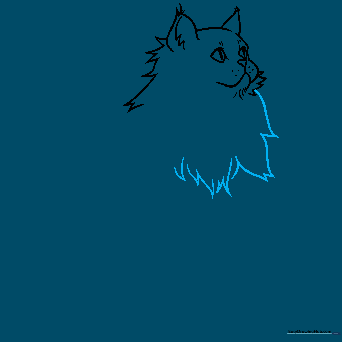 Adding volume to the cat's chest with long, jagged fur lines.