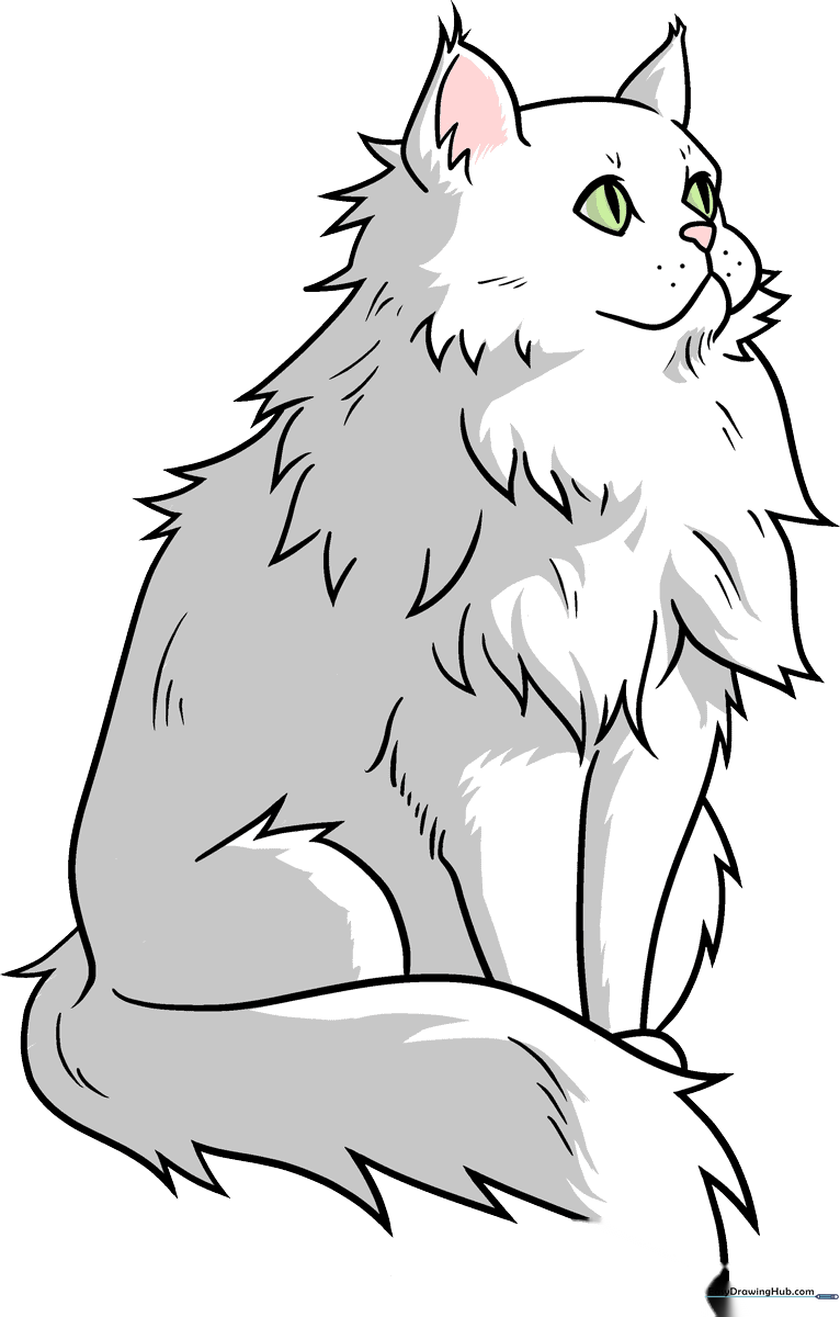 A vibrant, finished drawing of a fluffy Persian cat, showcasing the final result of the tutorial.