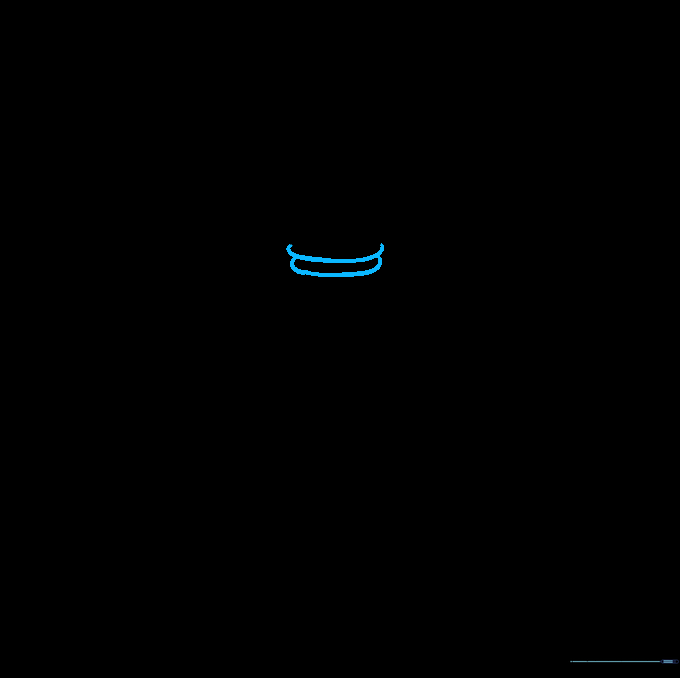 Drawing the neck area of the fly using two curved lines connecting to the head.