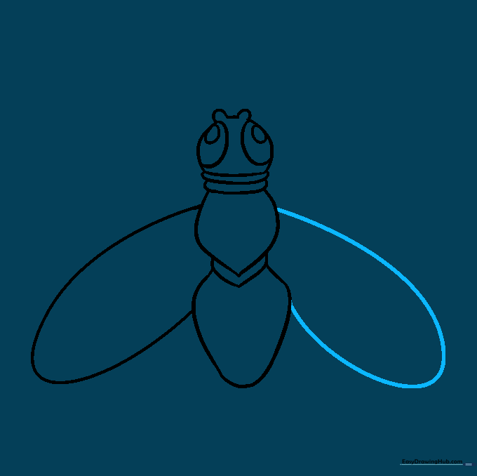 Adding the second wing to the fly, creating a symmetrical appearance.