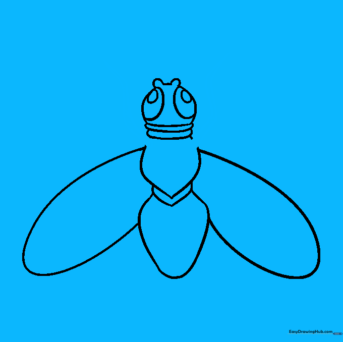 Detailed drawing of the fly's front legs with visible joint segments.