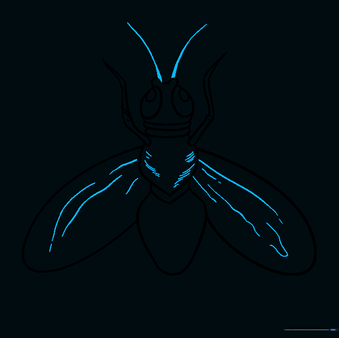 Adding antennae to the head and small texture lines to the fly's body.
