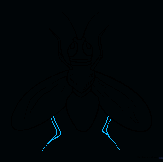 Completing the drawing by adding the rear legs of the fly.