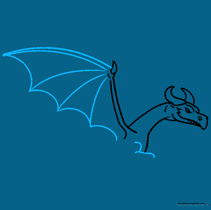 Detailed drawing of a dragon's wing structure with scalloped edges and an arm base.