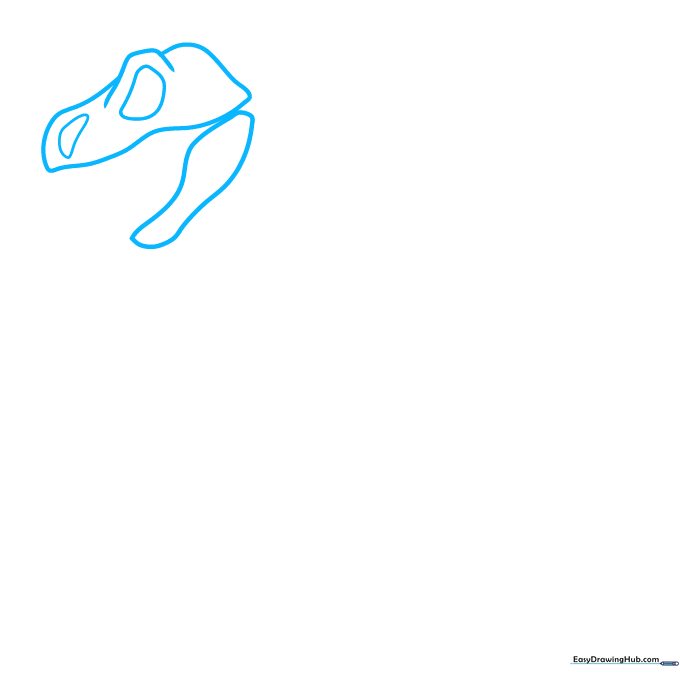 Pencil sketch showing the initial outline of a dinosaur skull with eye and nose sockets.