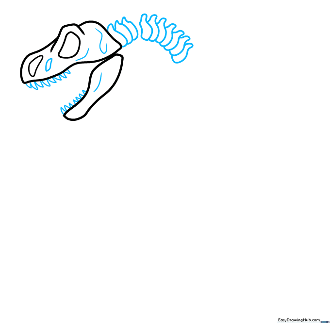 Close up of dinosaur jaw with triangular teeth and neck vertebrae being drawn.