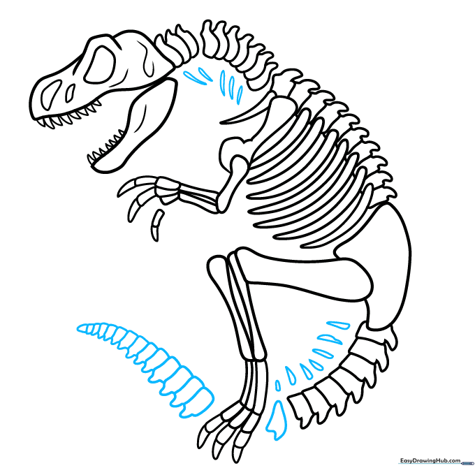 Adding detail to the tail and neck area of the fossil.