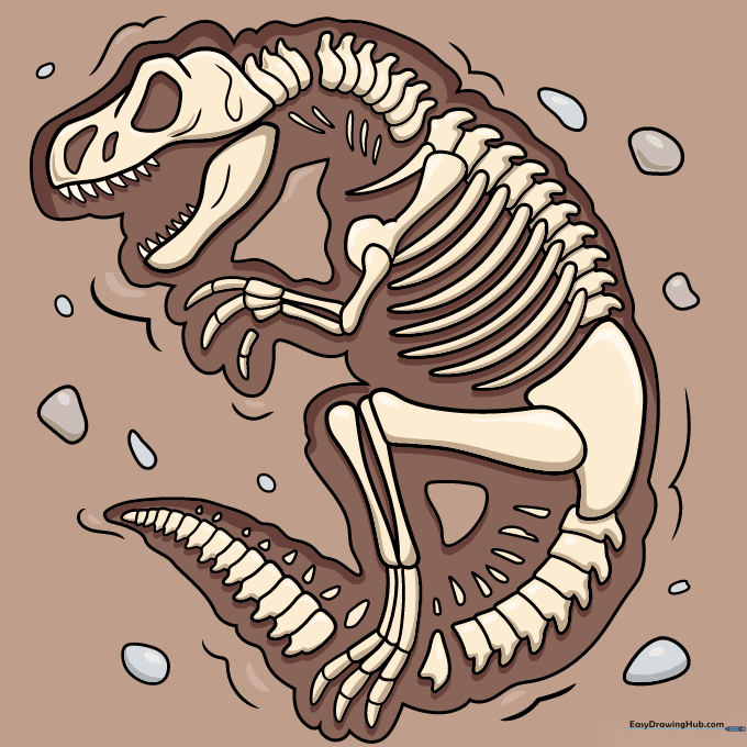 Final colored fossil drawing showing bone and rock textures.