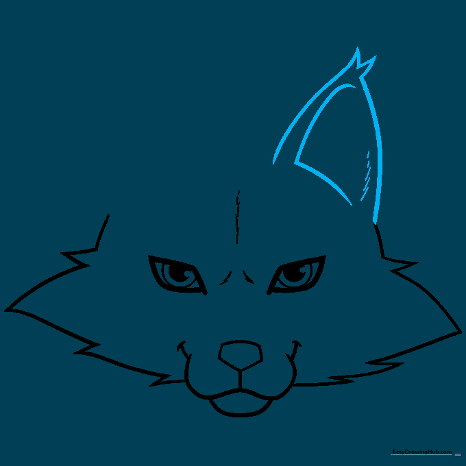 Detailed sketch of a fox's right ear with inner ear depth lines.