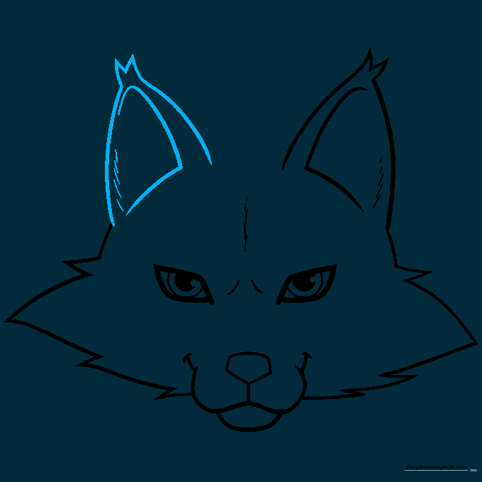 Pencil sketch of the second fox ear to complete the head shape.