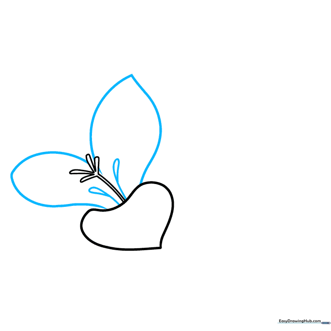 Drawing two side petals and teardrop-shaped stamens for the freesia flower.