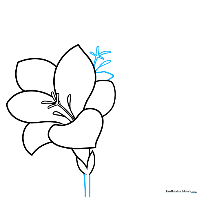 Sketching a second, partially hidden freesia flower behind the first one.