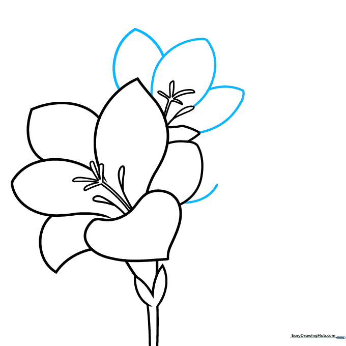 Adding surrounding petals to the second freesia bloom.