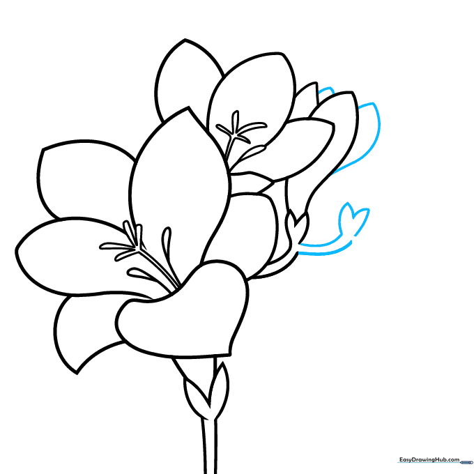 Adding more petals and a new stem section to the freesia cluster.