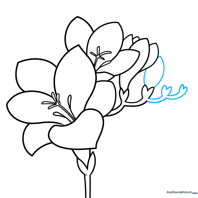 Adding multiple buds and stem details to complete the freesia cluster.