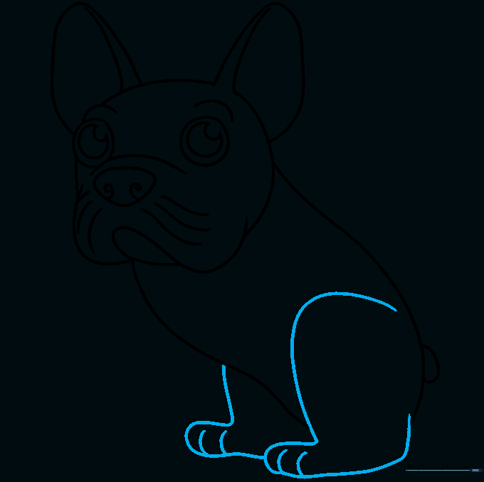 Adding the rear legs and paw details to the French Bulldog sketch.