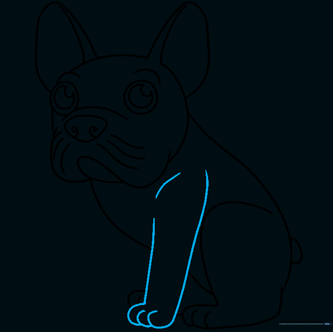 Sketching the front legs and shoulder details of the French Bulldog.
