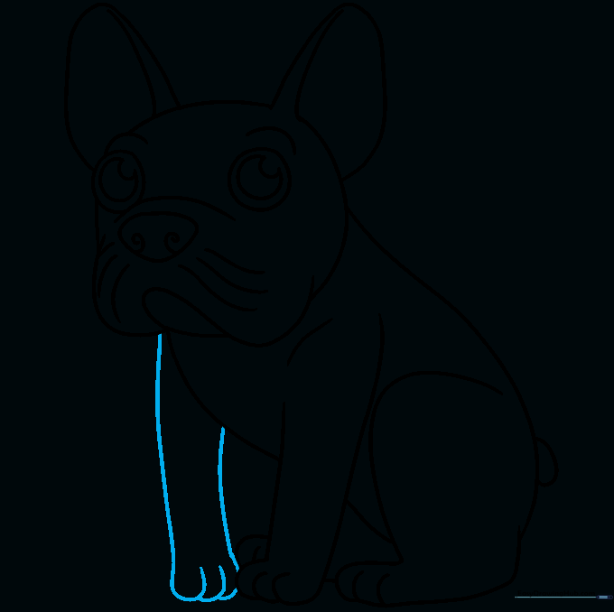 Completing the final outline of the French Bulldog, including the second front leg.