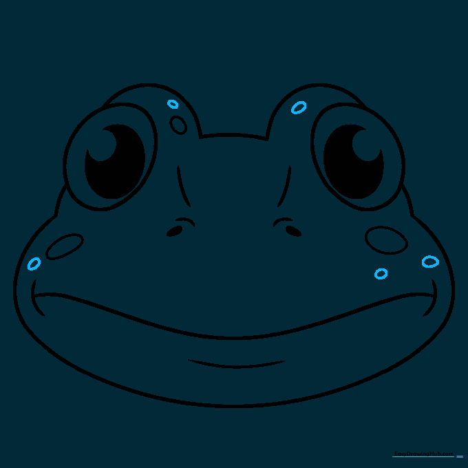 The completed line drawing of the frog face with all spots and details added.