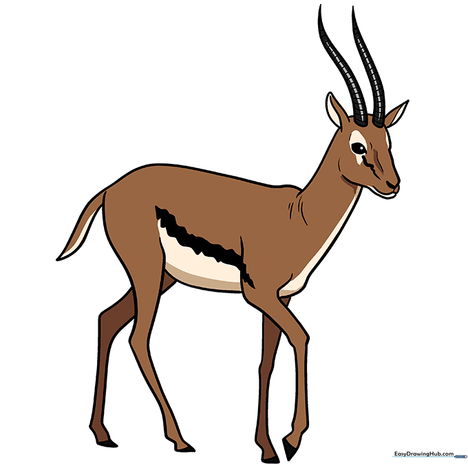 Finished, colored cartoon gazelle with brown fur and black markings.