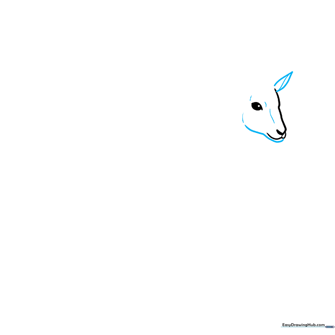 Drawing the lower jawline and a single pointed ear on the gazelle head.
