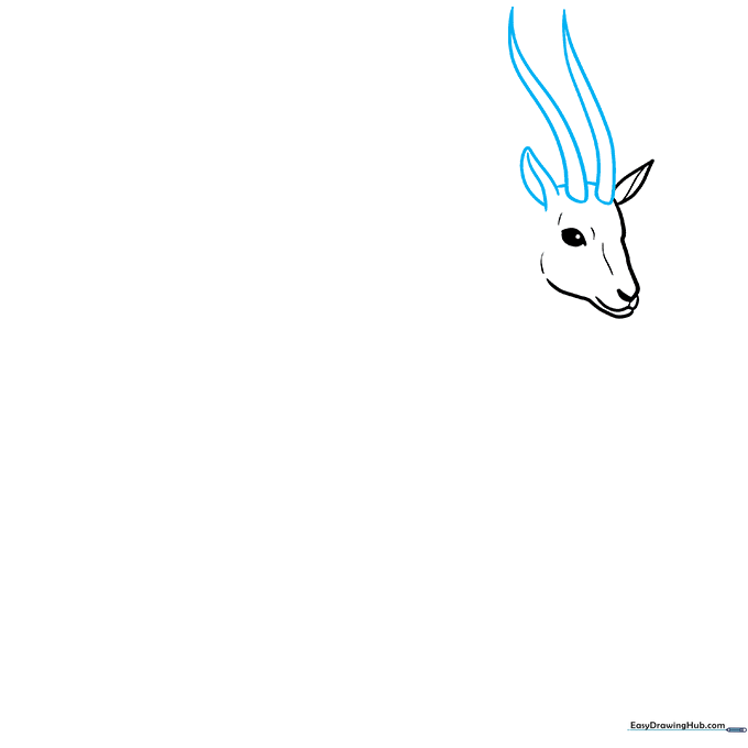 Adding two long, curved horns and a second ear to the gazelle head sketch.