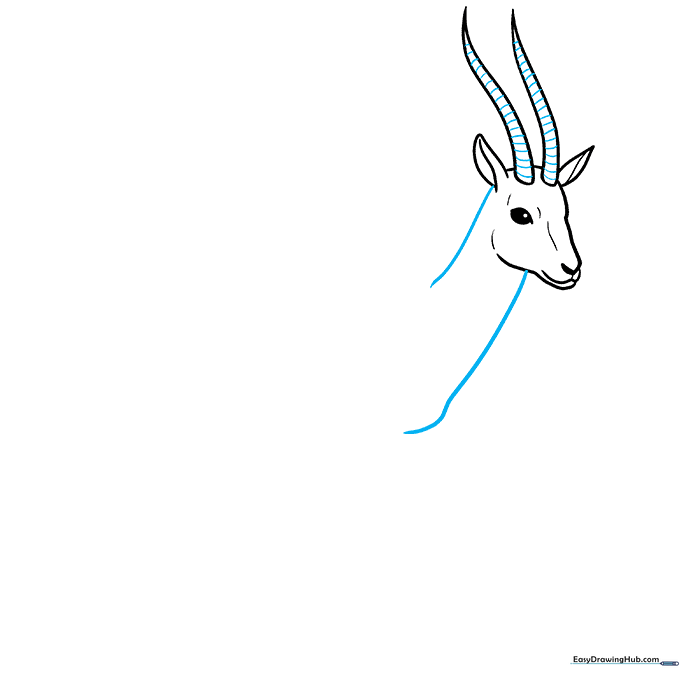 Adding texture lines to horns and extending the neck lines downward.