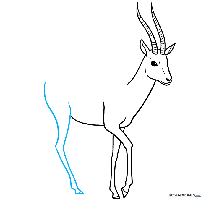 Adding the first rear leg with a thicker hip area.