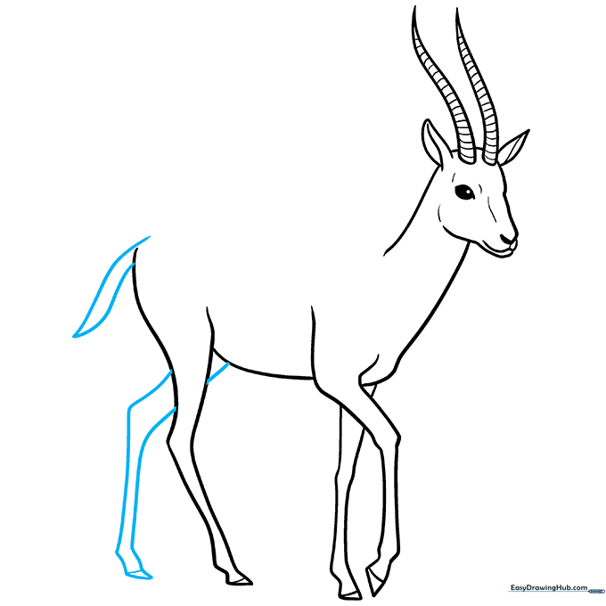 Adding the final rear leg and a small tail to complete the gazelle body.